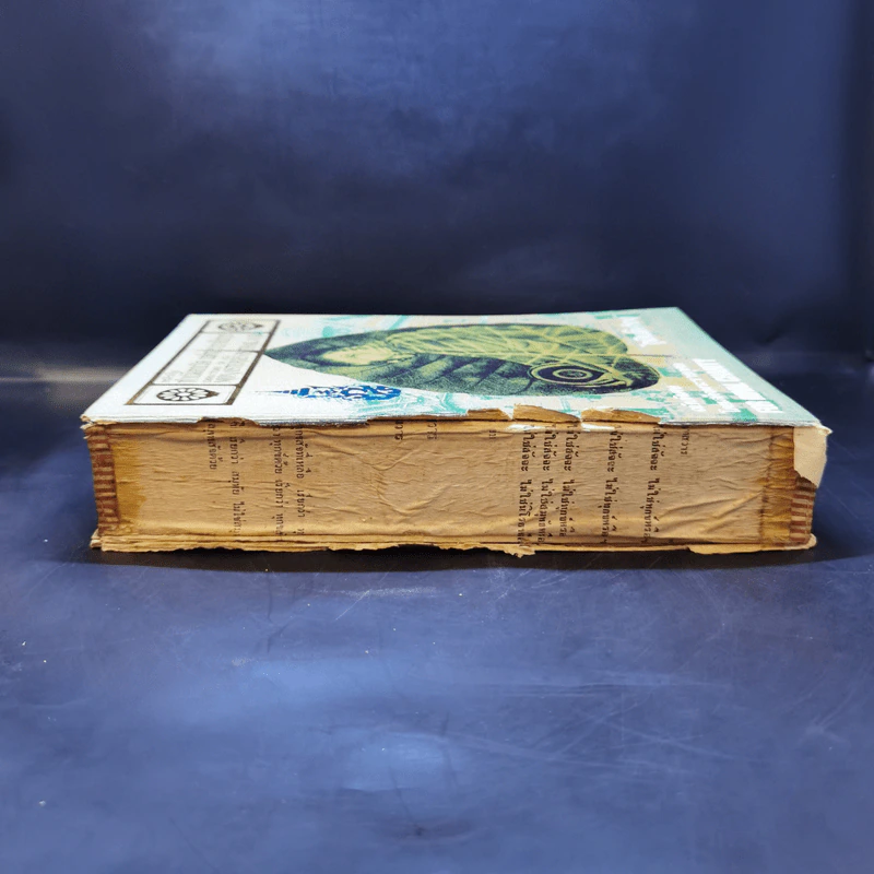 หนังสือทำเนียบวัดแห่งประเทศไทย ฉบับพิเศษ โดยเสด็จพระราชกุศล รูปที่ 3
