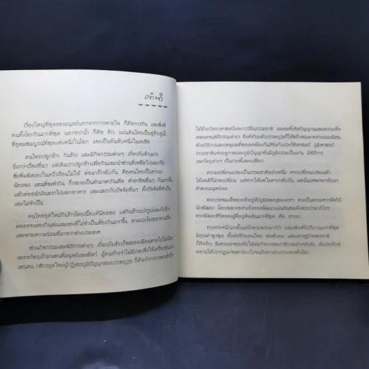ข้าวของพ่อ - วิมลพรรณ ปีตธวัชชัย รูปที่ 9