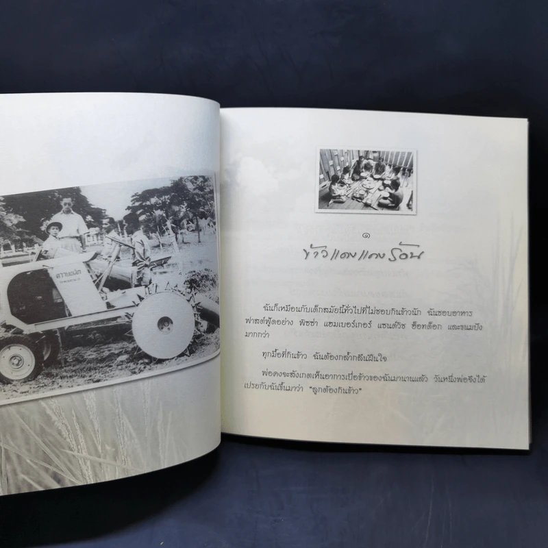 ข้าวของพ่อ - วิมลพรรณ ปีตธวัชชัย รูปที่ 11