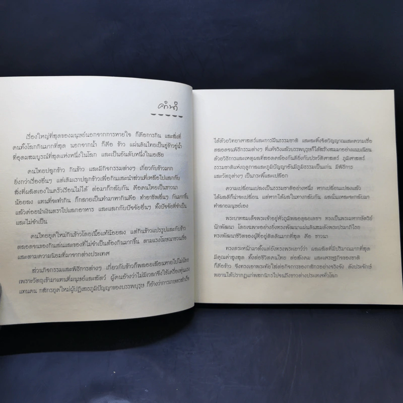 ข้าวของพ่อ - วิมลพรรณ ปีตธวัชชัย รูปที่ 9