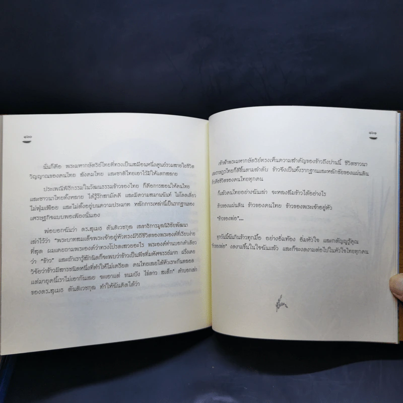 ข้าวของพ่อ - วิมลพรรณ ปีตธวัชชัย รูปที่ 12
