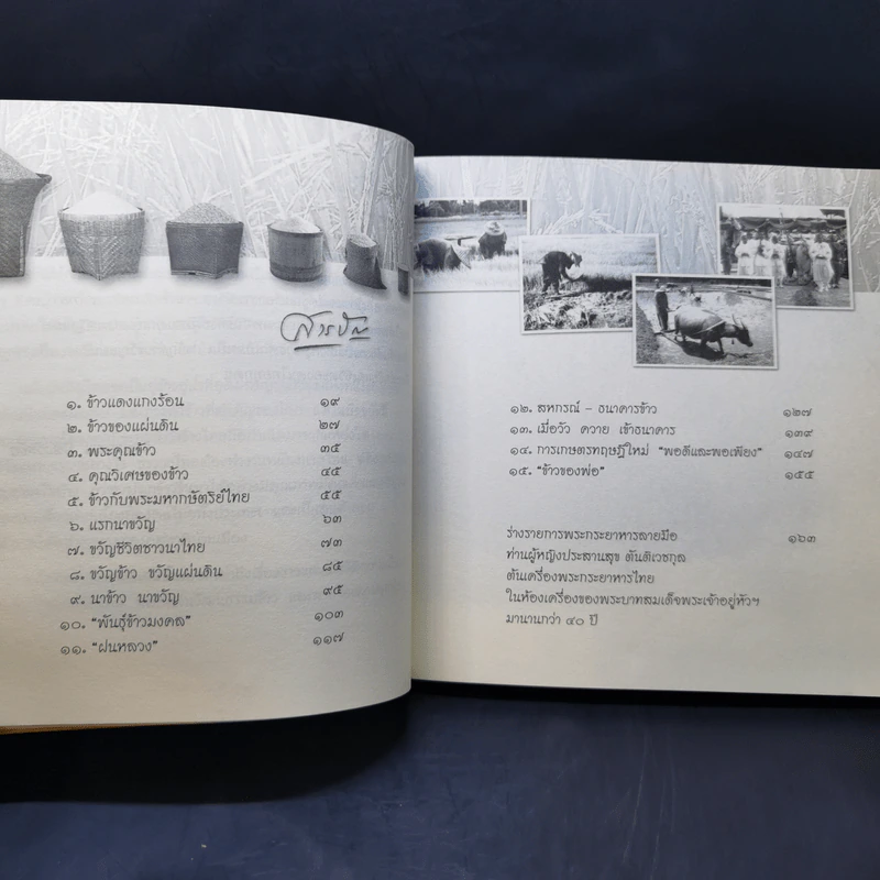 ข้าวของพ่อ - วิมลพรรณ ปีตธวัชชัย รูปที่ 10