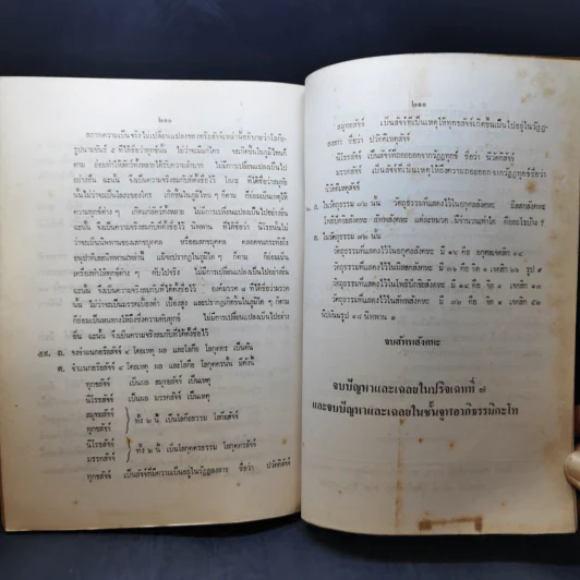 หลักสูตรปัญหาและเฉลย ในชั้นจูฬอาภิธรรมิกะตรี-โท รูปที่ 13