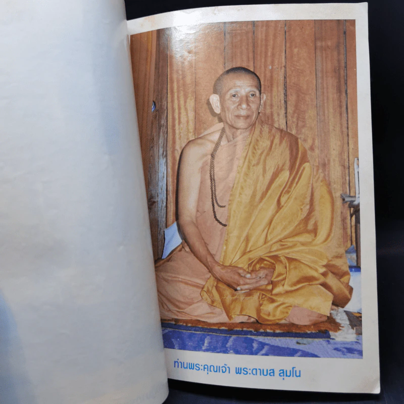 พระพุทธปฏิมากรแก้วเขียว รูปที่ 10