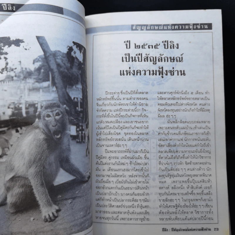 2535 ปีลิง สัญลักษณ์แห่งความฟุ้งซ่าน รูปที่ 11