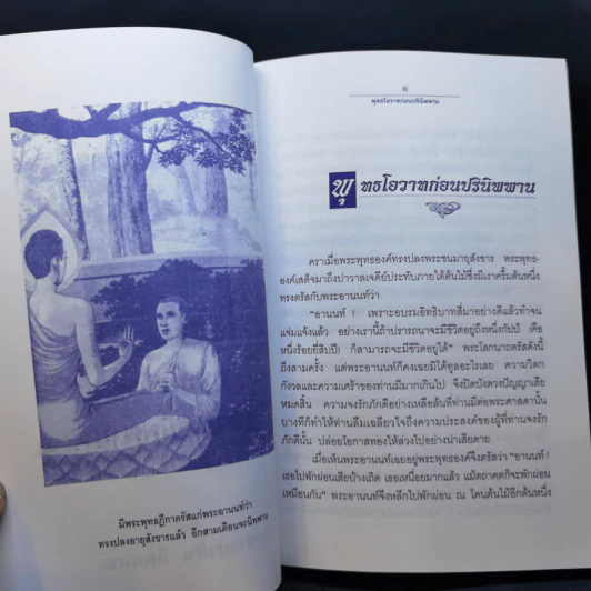 พุทธโอวาทก่อนปรินิพพาน และ พุทธโอวาทศิริมานนทสูตร รูปที่ 10