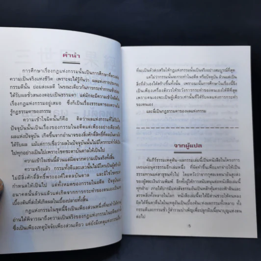 การ์ตูนคัมภีร์ธรรมกฎแห่งกรรม เหตุต้น-ผลกรรม รูปที่ 10