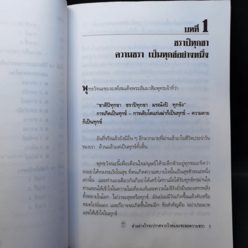 ทำอย่างไร จะปราศจากโรคและชะลอความชรา - เฉก ธนะสิริ รูปที่ 13