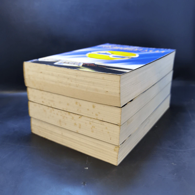 สรุปข้อสนเทศ 2533 บริษัทจดทะเบียน บริษัทรับอนุญาต Boxset 4 เล่ม รูปที่ 9
