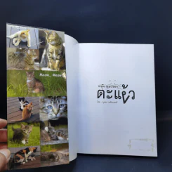 ฟลุ๊ก แมวของตะเง้ว - บุษบา มหัตถพงศ์ รูปที่ 8