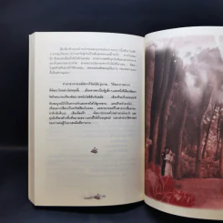 เมืองดาหลา - นายพันดี รูปที่ 11