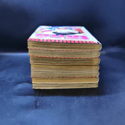 ยอดนักสืบจิ๋วโคนัน ภาคพิเศษ เล่ม 1-5,7,8 รูปที่ 5