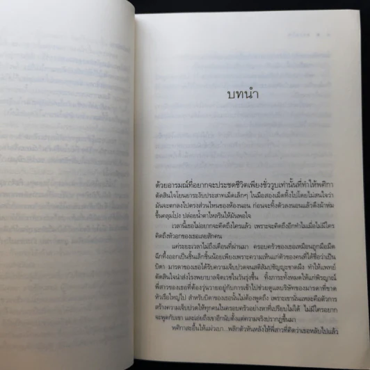 ทะเลไฟ - ณารา รูปที่ 10