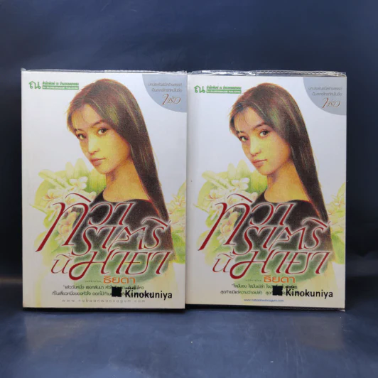 ทิวาราตรีนี้มายา 2 เล่มจบ - ธิยดา รูปที่ 1