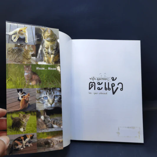 ฟลุ๊ก แมวของตะเง้ว - บุษบา มหัตถพงศ์ รูปที่ 8