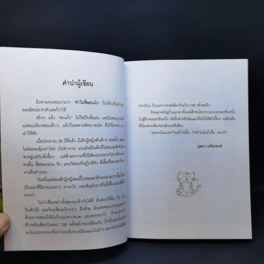 ฟลุ๊ก แมวของตะเง้ว - บุษบา มหัตถพงศ์ รูปที่ 10