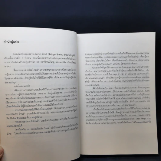ไดอารี่ของบริดเจ็ท โจนส์ - เฮเลน ฟีลดิง รูปที่ 11