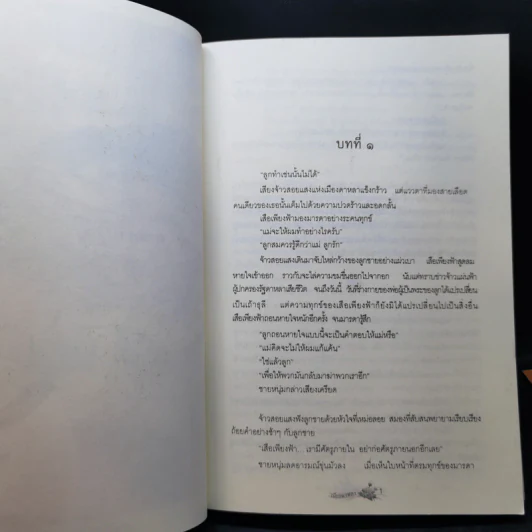 เมืองดาหลา - นายพันดี รูปที่ 10