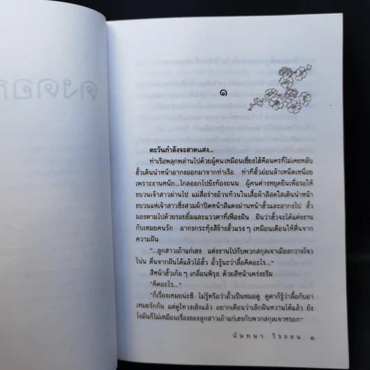 ดงดอกเหมย - นันทนา วีระชน รูปที่ 9