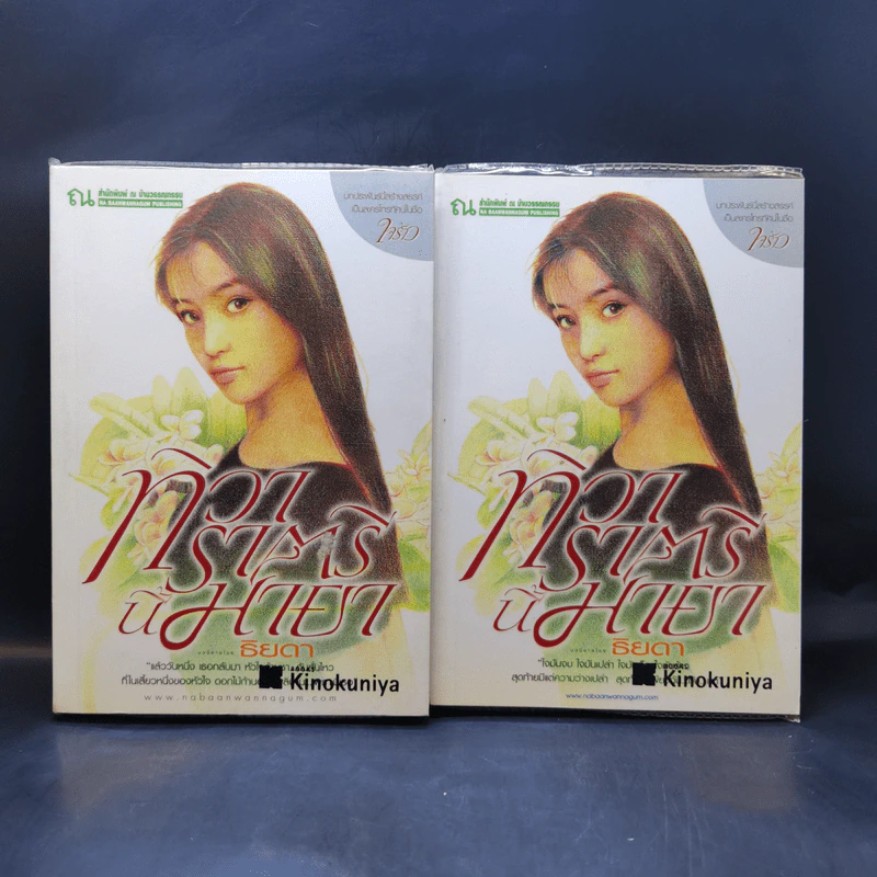 ทิวาราตรีนี้มายา 2 เล่มจบ - ธิยดา รูปที่ 1