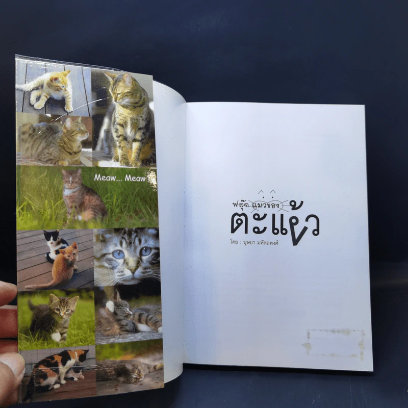 ฟลุ๊ก แมวของตะเง้ว - บุษบา มหัตถพงศ์ รูปที่ 8