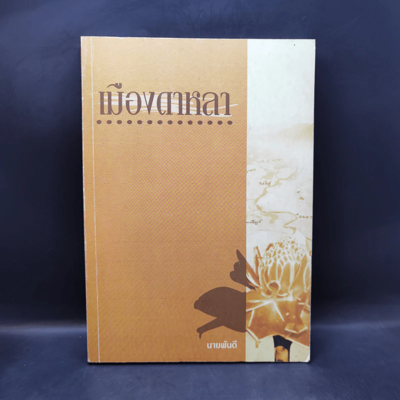เมืองดาหลา - นายพันดี รูปที่ 1