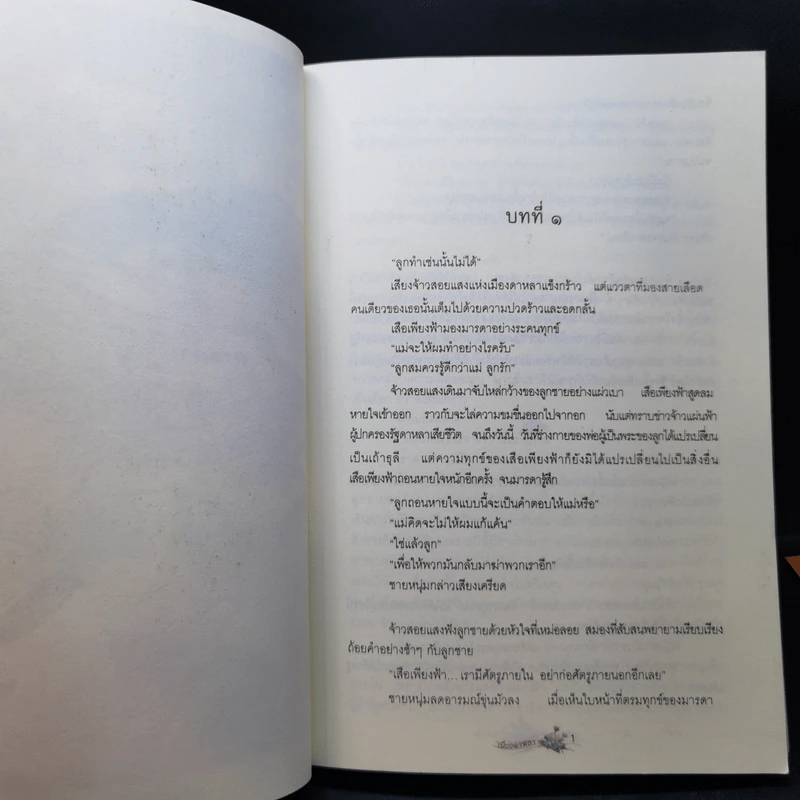 เมืองดาหลา - นายพันดี รูปที่ 10