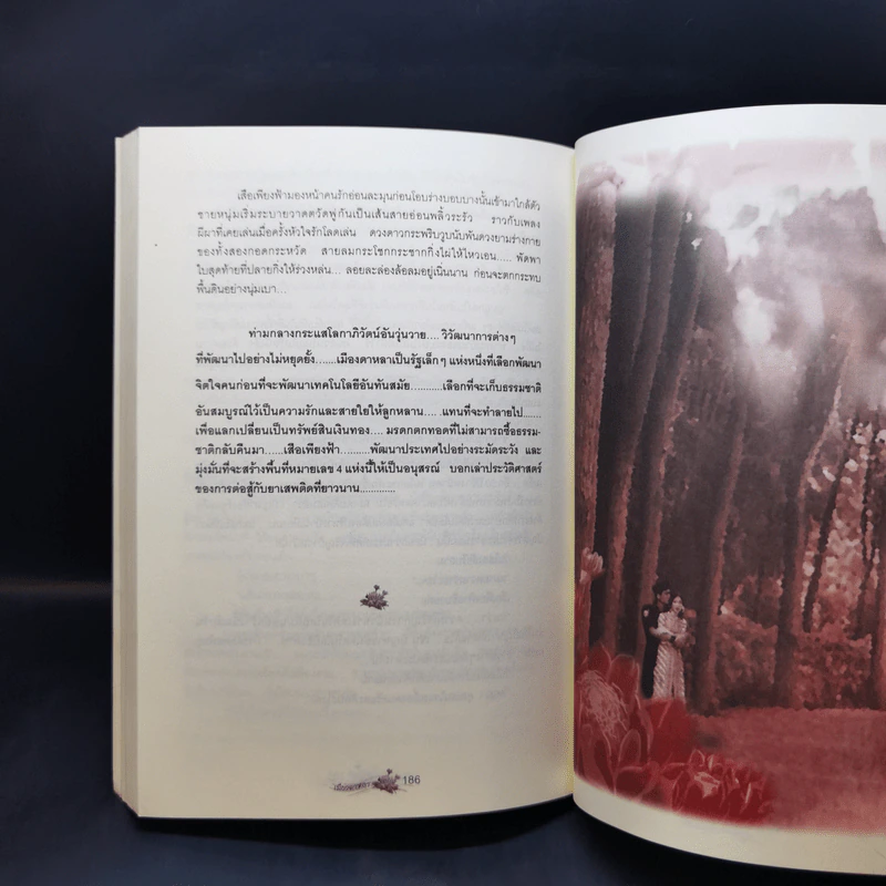 เมืองดาหลา - นายพันดี รูปที่ 11