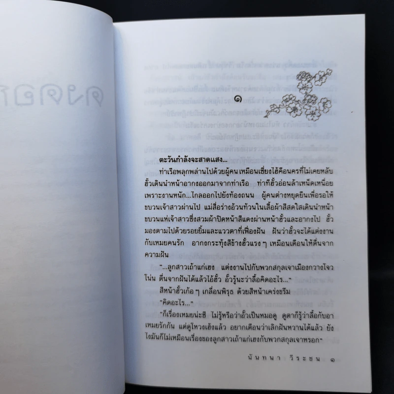 ดงดอกเหมย - นันทนา วีระชน รูปที่ 9