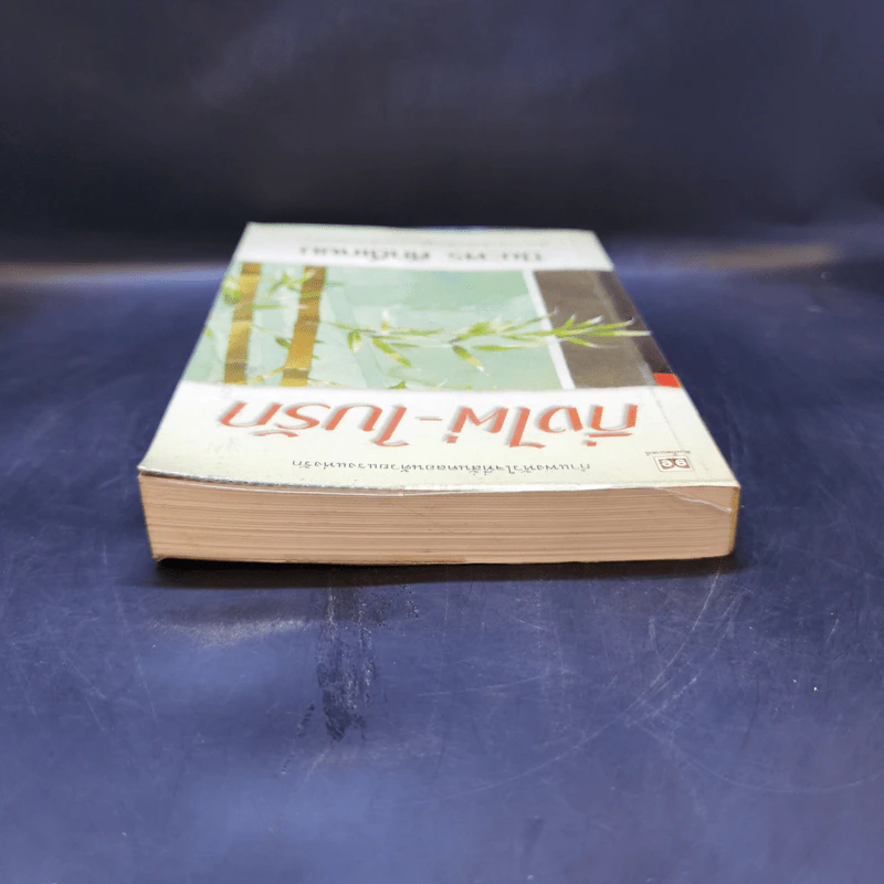กิ่งไผ่-ใบรัก - ปิยะพร ศักดิ์เกษม รูปที่ 6