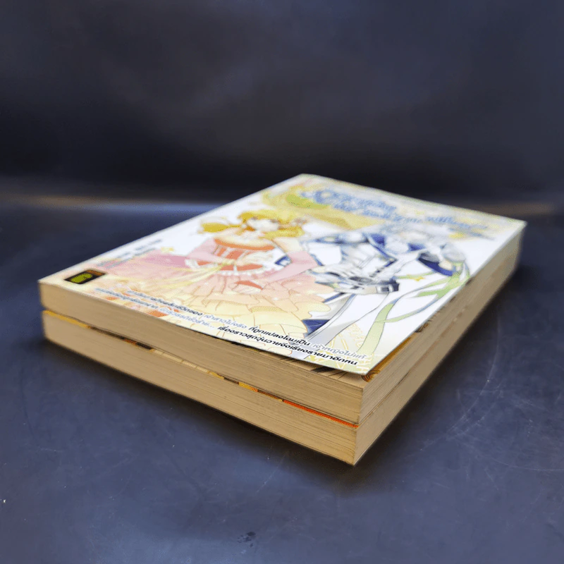 The Zodiac ภารกิจเจ้าสาวป่วนยกกำลัง 12 เล่ม 1-2 รูปที่ 7