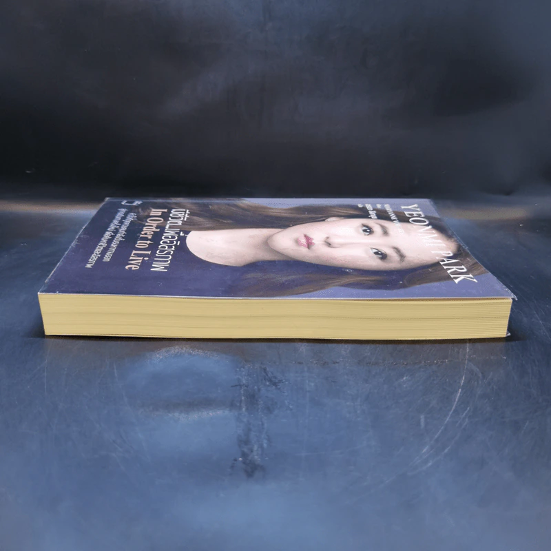 มีชีวิต...เพื่ออิสรภาพ In Order to Live - MARYANNE VOLLERS รูปที่ 5