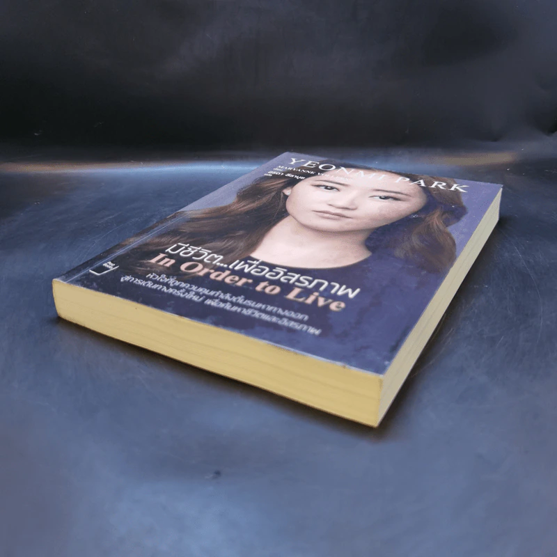 มีชีวิต...เพื่ออิสรภาพ In Order to Live - MARYANNE VOLLERS รูปที่ 7