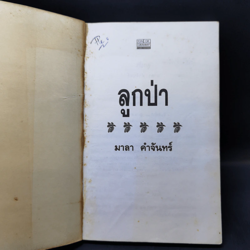 ลูกป่า - มาลา คำจันทร์ รูปที่ 8