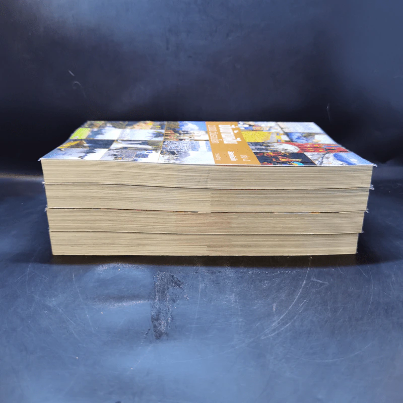 ปั่นข้ามฝัน 2,000 วันรอบโลก เล่ม 1-4 - วรรณกับหมู รูปที่ 4