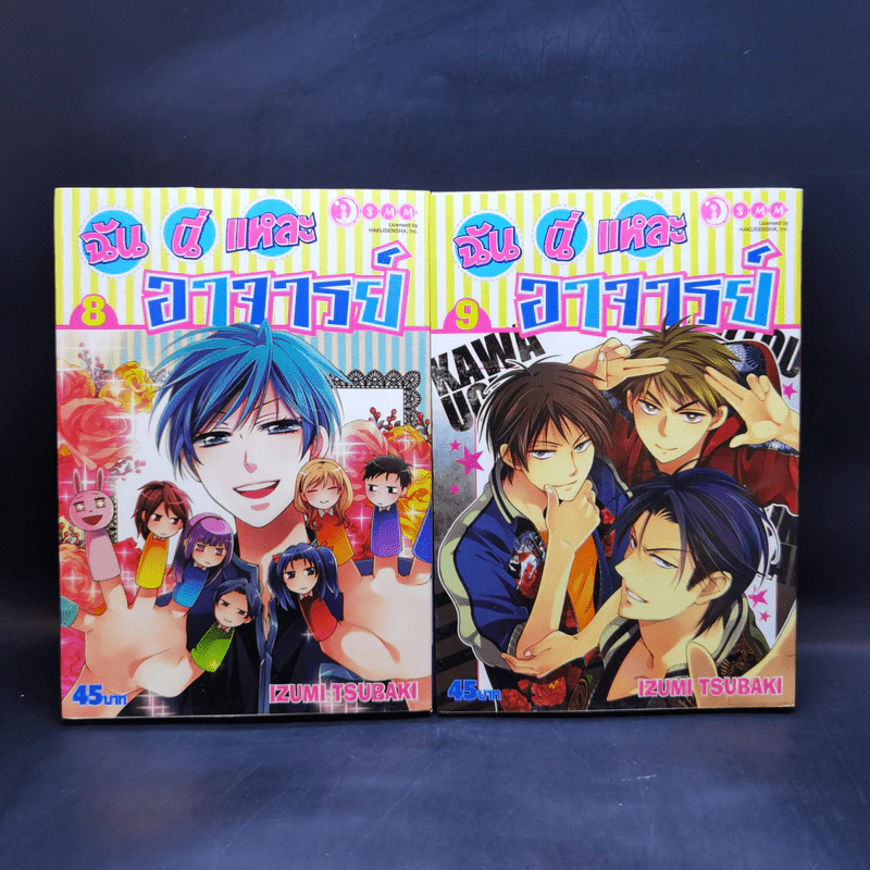 ฉันนี่แหละอาจารย์ เล่ม 4-18 รูปที่ 9