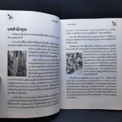 นาฬิกาชีวิต ตอน 2 มะรุม ต้นไม้เพื่อชีวิต - วิไลวรรณ อนุสารสุนทร รูปที่ 9