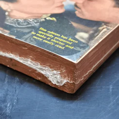 Anna Karenina - Leo Tolstoy รูปที่ 9