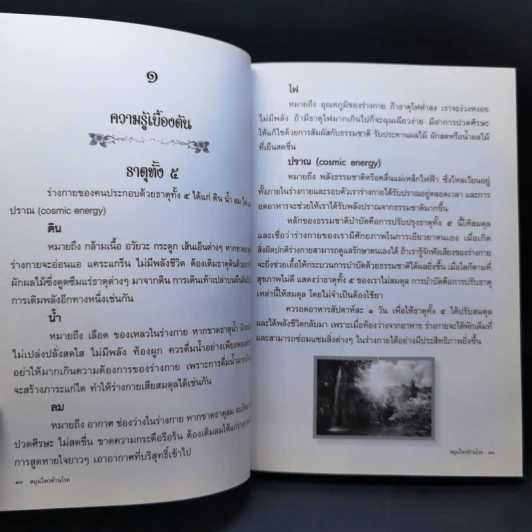 สมุนไพรต้านโรค อนุสรณ์งานพระราชทานเพลิงศพ นายวิจารณ์ ขวัญจันทร์ รูปที่ 13