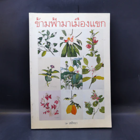 ข้ามฟ้ามาเมืองแขก - สหัทยา รูปที่ 1