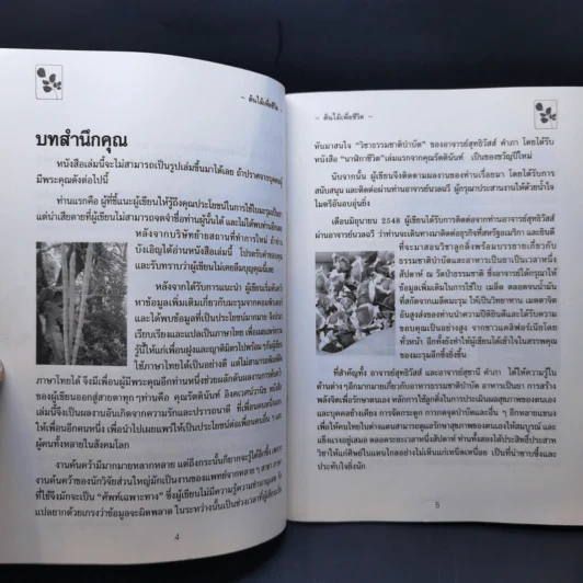 นาฬิกาชีวิต ตอน 2 มะรุม ต้นไม้เพื่อชีวิต - วิไลวรรณ อนุสารสุนทร รูปที่ 9