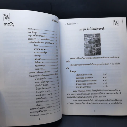 นาฬิกาชีวิต ตอน 2 มะรุม ต้นไม้เพื่อชีวิต - วิไลวรรณ อนุสารสุนทร รูปที่ 10