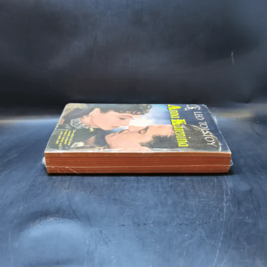 Anna Karenina - Leo Tolstoy รูปที่ 5