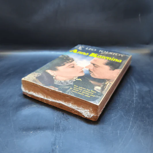 Anna Karenina - Leo Tolstoy รูปที่ 7