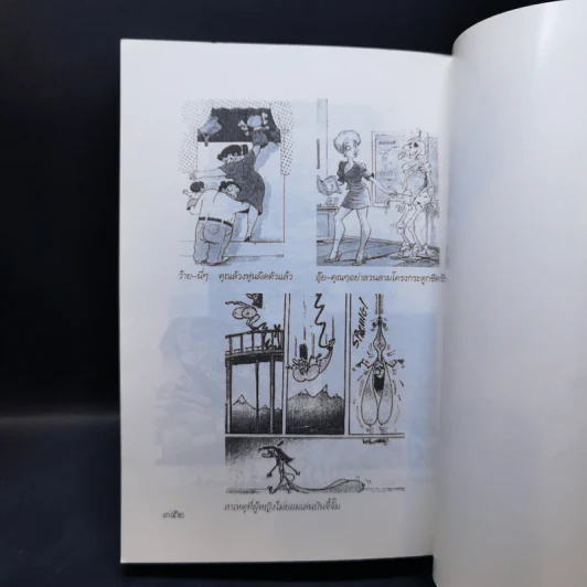 หนังสือหมอดูประจำปีของหมอไพศาล ปีวอก พ.ศ.2547 รูปที่ 12