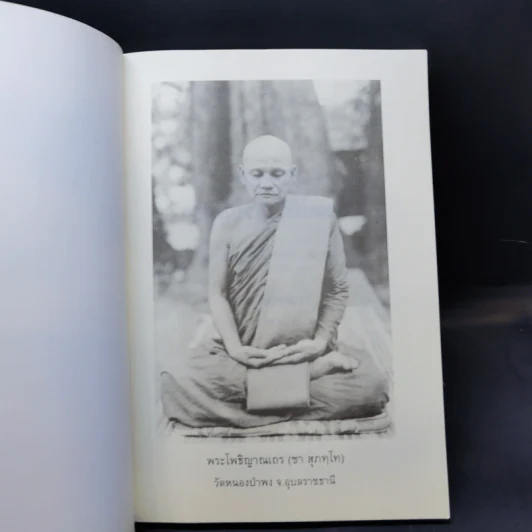 ปฏิปทาพระโพธิญาณ - ชา สุภทโท รูปที่ 8