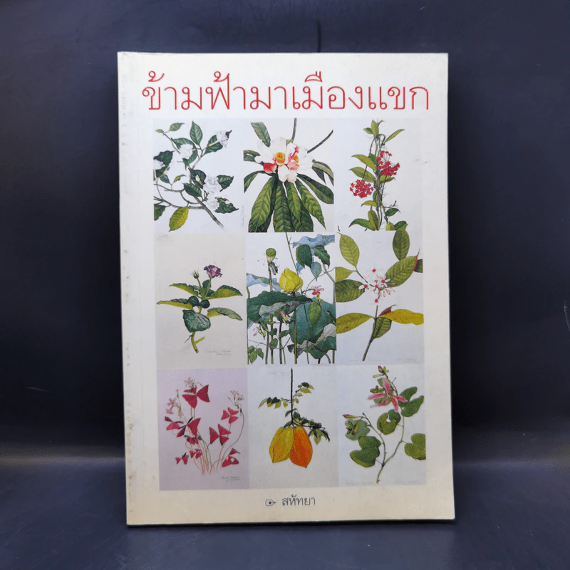 ข้ามฟ้ามาเมืองแขก - สหัทยา รูปที่ 1