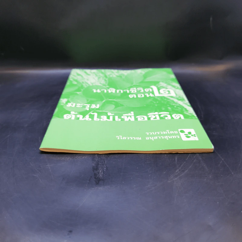 นาฬิกาชีวิต ตอน 2 มะรุม ต้นไม้เพื่อชีวิต - วิไลวรรณ อนุสารสุนทร รูปที่ 4