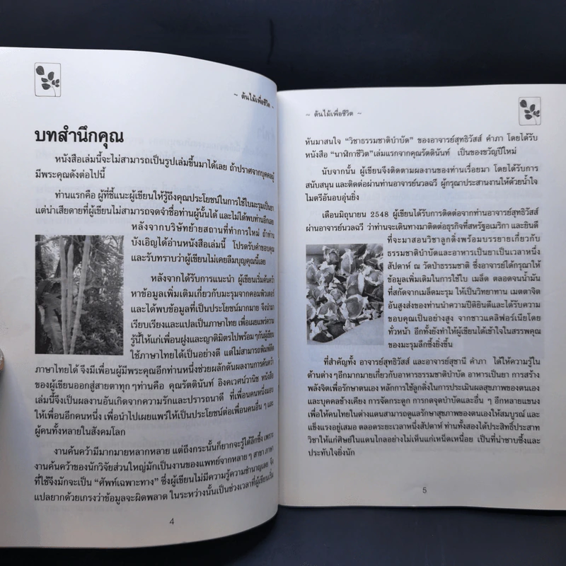 นาฬิกาชีวิต ตอน 2 มะรุม ต้นไม้เพื่อชีวิต - วิไลวรรณ อนุสารสุนทร รูปที่ 9