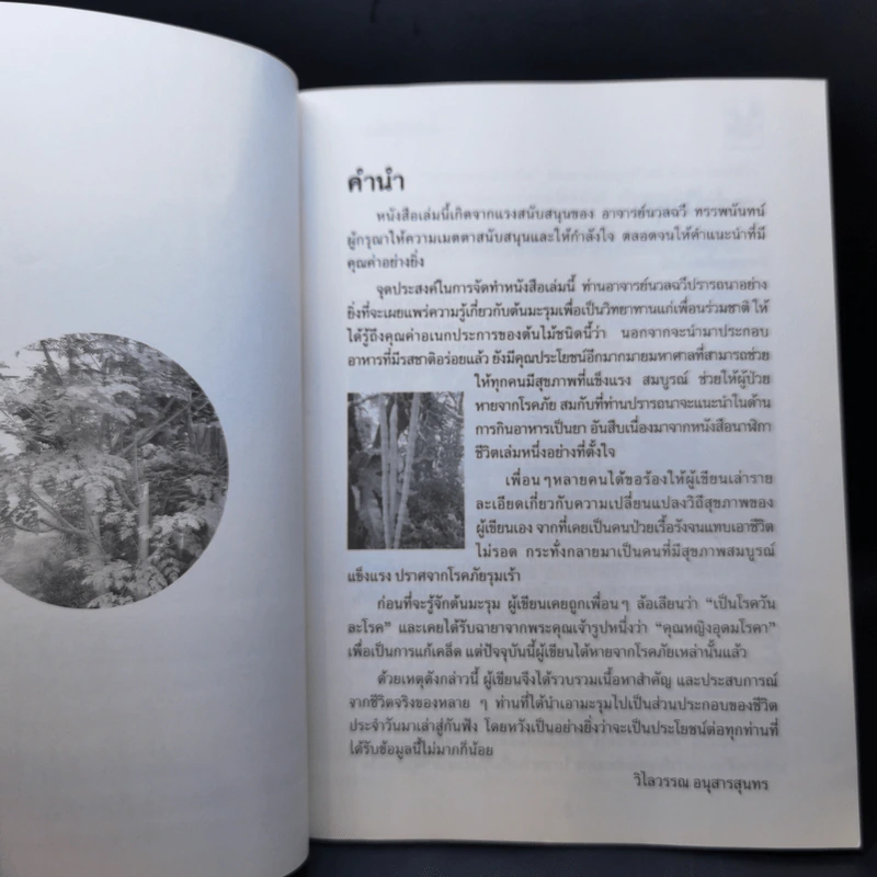 นาฬิกาชีวิต ตอน 2 มะรุม ต้นไม้เพื่อชีวิต - วิไลวรรณ อนุสารสุนทร รูปที่ 8